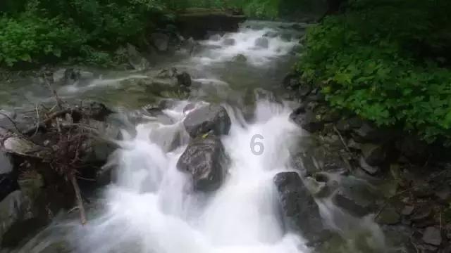 月光影视